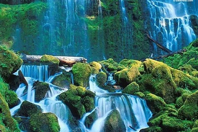 Nature   Mother Nature Wallpapers (249822)   Fanpop