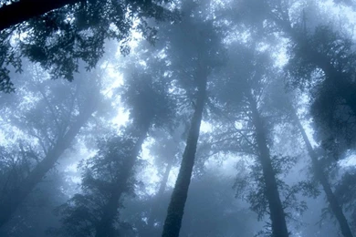 Nature   Mother Nature Wallpapers (249958)   Fanpop