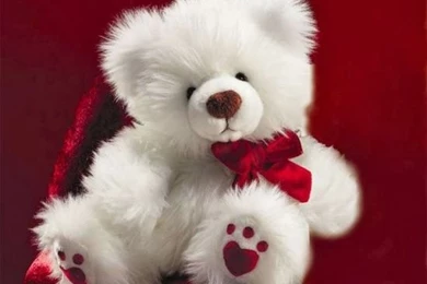 Cute Teddy Bear Pictures HD Images Free Download Desktop ...