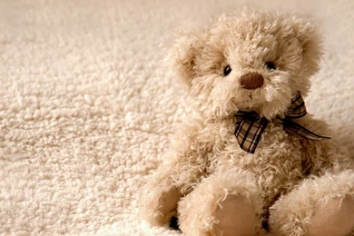 Free Teddy Bear HD Wallpaper.jpg