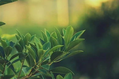 Hd Nature Wallpapers, Place, Cool Images, Colors, Mother Nature ...