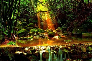 Hd Nature Wallpapers, Desktop Images, Perfect, Mother Nature, Sun ...