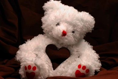 20+ Full Size Cute Teddy Bears HD Wallpapers.