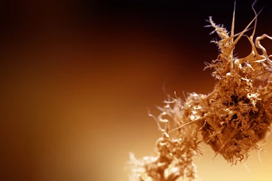 Masonic Wallpapers » WallDevil Best Free HD Desktop And Mobile ...