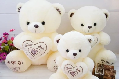 Photography   Page 279