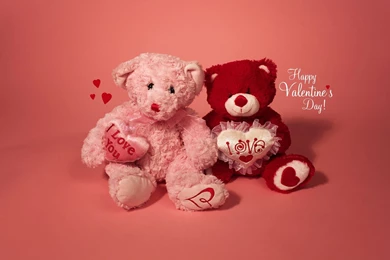 Very Cute Teddy Bear Couple Hd Wallpapers