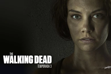 The Walking Dead Computer Wallpapers, Desktop Backgrounds ...