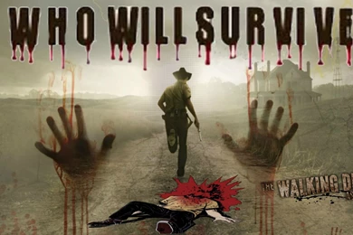 582 The Walking Dead HD Wallpapers