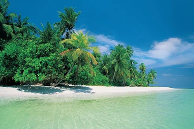 Beaches Wallpapers   (