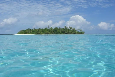 Awesome Nature's Picture Gallery   Forwards.in