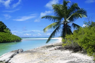 Indian Beach HD Wallpapers.jpg