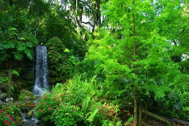 Greenery HD Wallpapers   Download Free HD Desktop Wallpapers ...