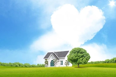 Natural Greenery Wallpapers And Images Full HQ Images