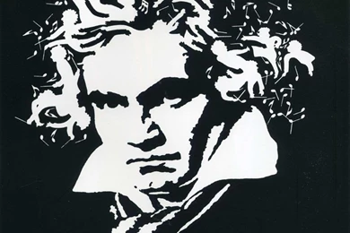 Mozart Musical Hair   Optical Illusion Shigeo Fukuda Art Wallpapers ...