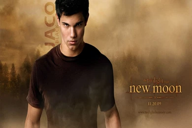 Twilight Page 2   Movie Wallpapers   Crazy Frankenstein