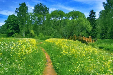 A BRIDGE AMONG GREENERY WALLPAPER (