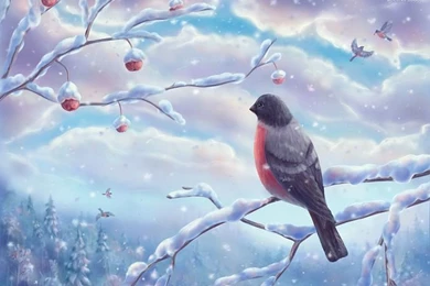 Little Garden Animal   Fantasy Digital Painting Wallpapers 6 ...