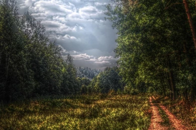 Download Nature Digital Painting Wallpapers Free