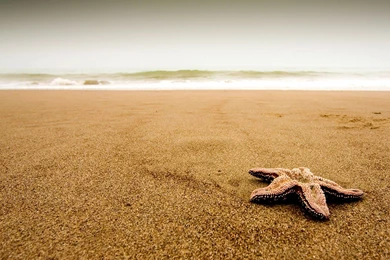 1920x1200   Page 504