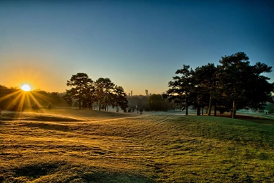 Good Morning Sunshine And Greenery Wallpapers