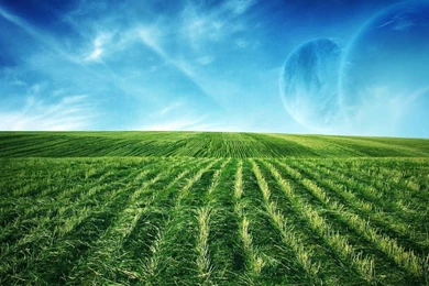 3388BB Color Wallpapers: Color Flag High Quality Wallpaper. Spring ...