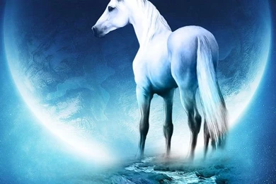 Awesome Unicorn Iphone Wallpapers