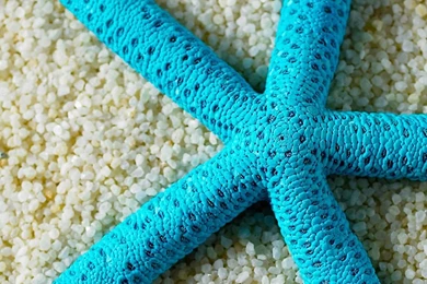 Beach Starfish Samsung Galaxy A7 Wallpapers HD 1080x1920