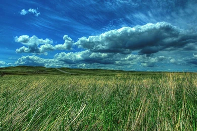 Fields: Country Dreams Clouds Field Phone Wallpapers For High ...