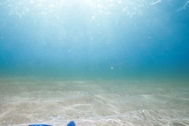 Starfish iPad Wallpapers