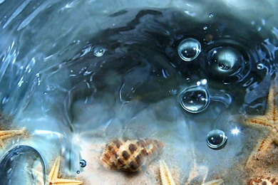 Download Wallpapers 3840x2400 Water, Transparent, Cockleshells ...