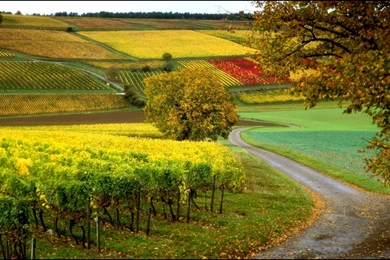 Nature Wallpapers For Computer   4 Items