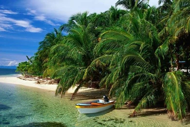 FREE HD NATURE WALLPAPERS: HD Computer Nature Wallpapers Free Download