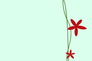 Best Wallpapers: Wallpapers For Iphone 4 Resolution