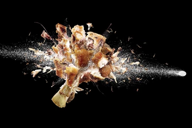 Sloe Motion Wallpapers Free Download