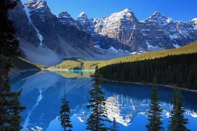 Living Wallpapers PC   Wallpapers Cave