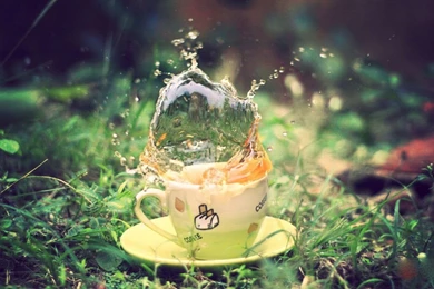 Rocking Water Drop Slow Motion Wallpapers Free Download