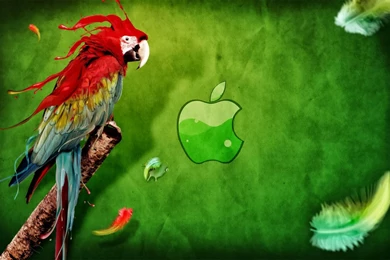 Wallpapers: Computer Desktop Wallpapers