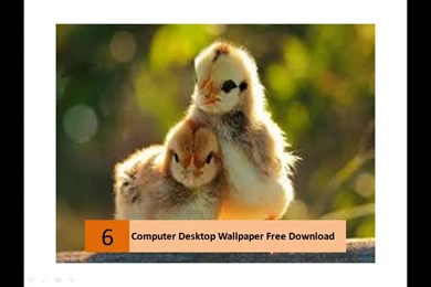 Variety Of Computer Desktop Wallpapers Free Download   YouTube