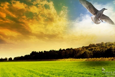 Download Fantasy Wonderful Wallpapers 1920x1080