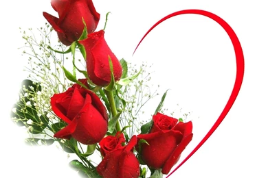 Red Rose Love Wallpapers   Wallpapers Cave