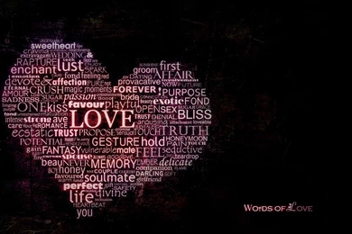 Funny Word Images   HD Wallpapers And Pictures