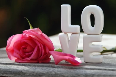 Nice Love Heart With Rose Hd Wallpapers