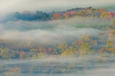 Mac OS X Lion Wallpapers (8)