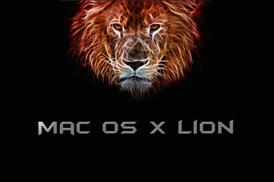 Background Black Mac OS X Lion   Wallpapers, Icons, Themes, And ...
