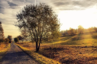 Autumn Scenery Wallpapers   Nature Wallpapers