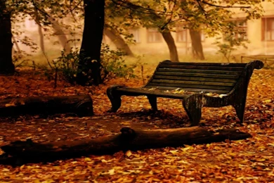 Free Scenic Wallpapers   Wallpapers Cave