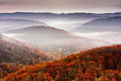 Brown Autumn Scenery Wallpapers