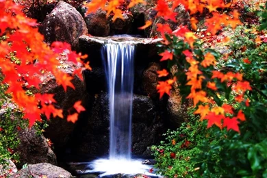 Autumn Theme 9530   Autumn Theme   Landscape Scenery