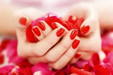 Rose Petals In Hand Love Wallpapers   New Hd WallpaperNew Hd Wallpapers