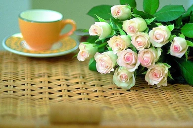 The Rose Of Love   Roses Wallpapers (13966630)   Fanpop